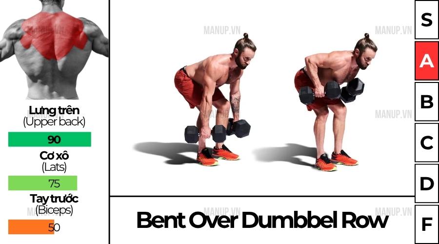 bài tập gym Bent Over Dumbell Row