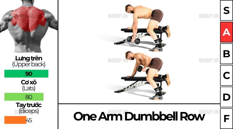 One Arm Dumbbell Row