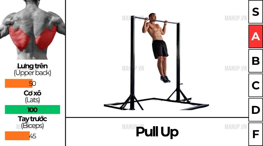 Wide Grip Pull Up