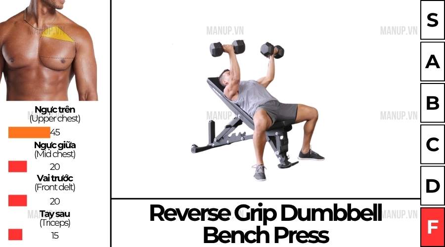 Reverse Grip Dumbbell Bench Press