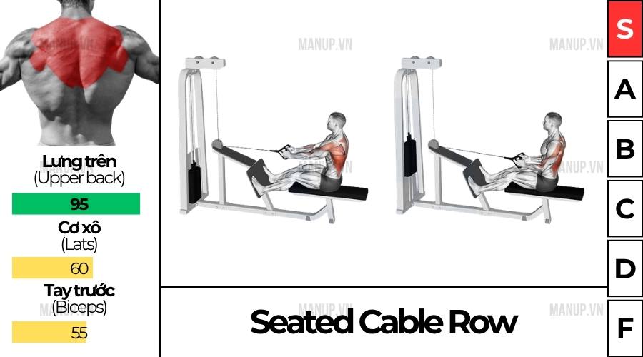 bài tập gym Seated Cable Row