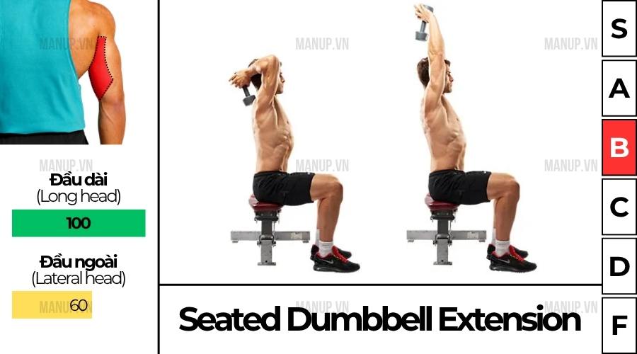 Seated Dumbbell Tricep Extension