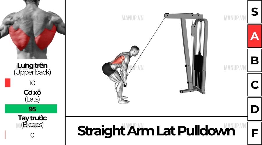 Straight Arm Lat Pull down