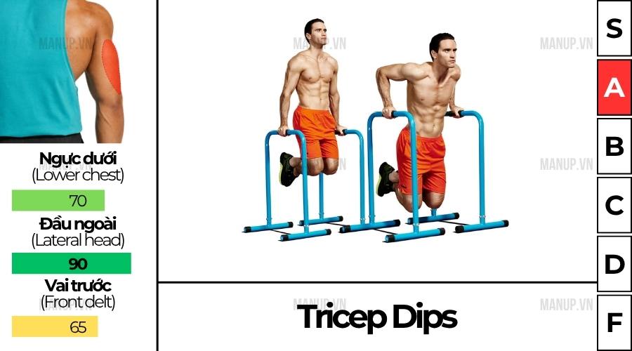 Tricep Dips