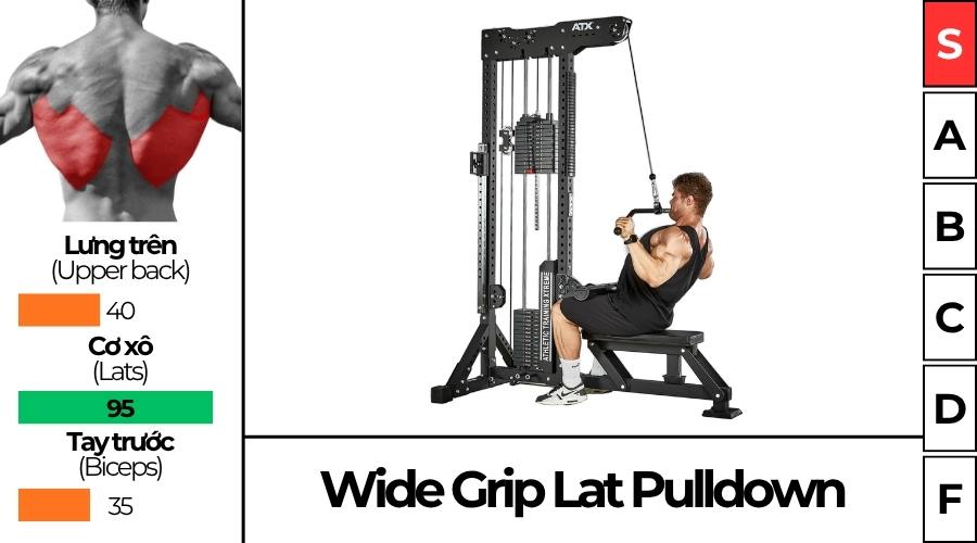 Lat Pull Down