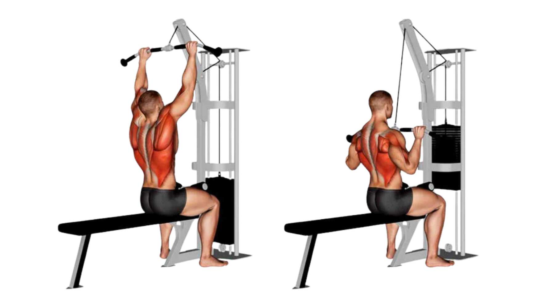 Bài tập Lat Pull Down