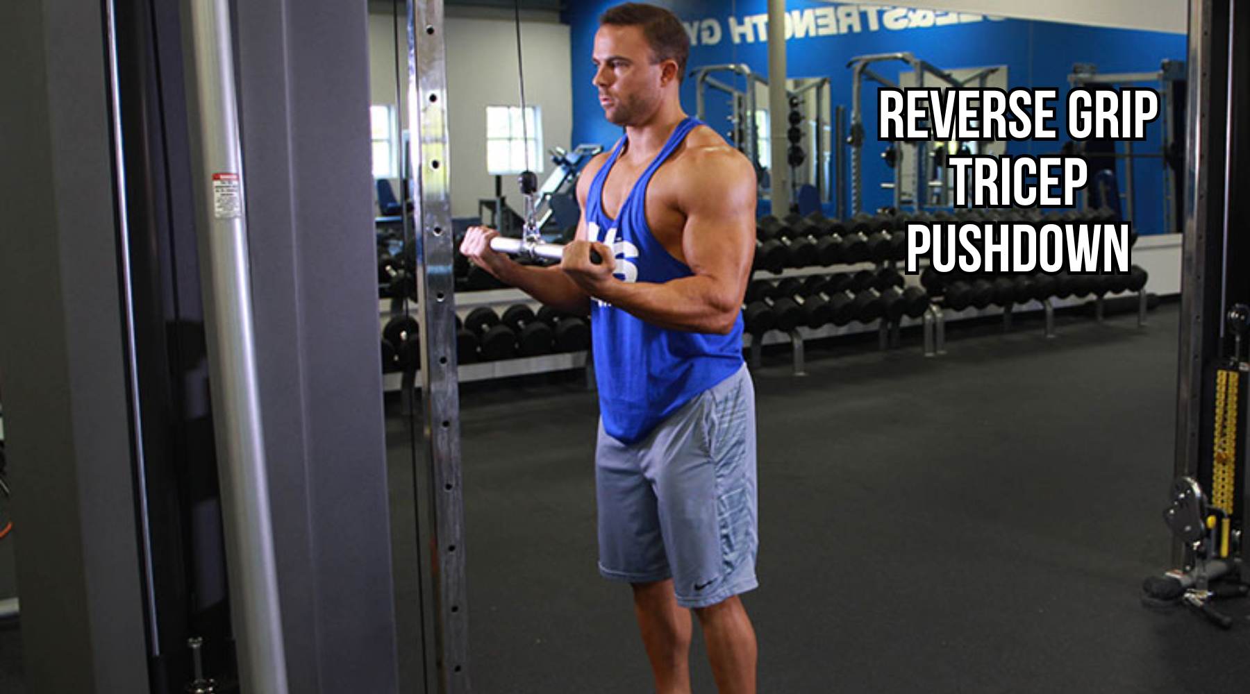 Bài tập Reverse Grip Tricep Pushdown