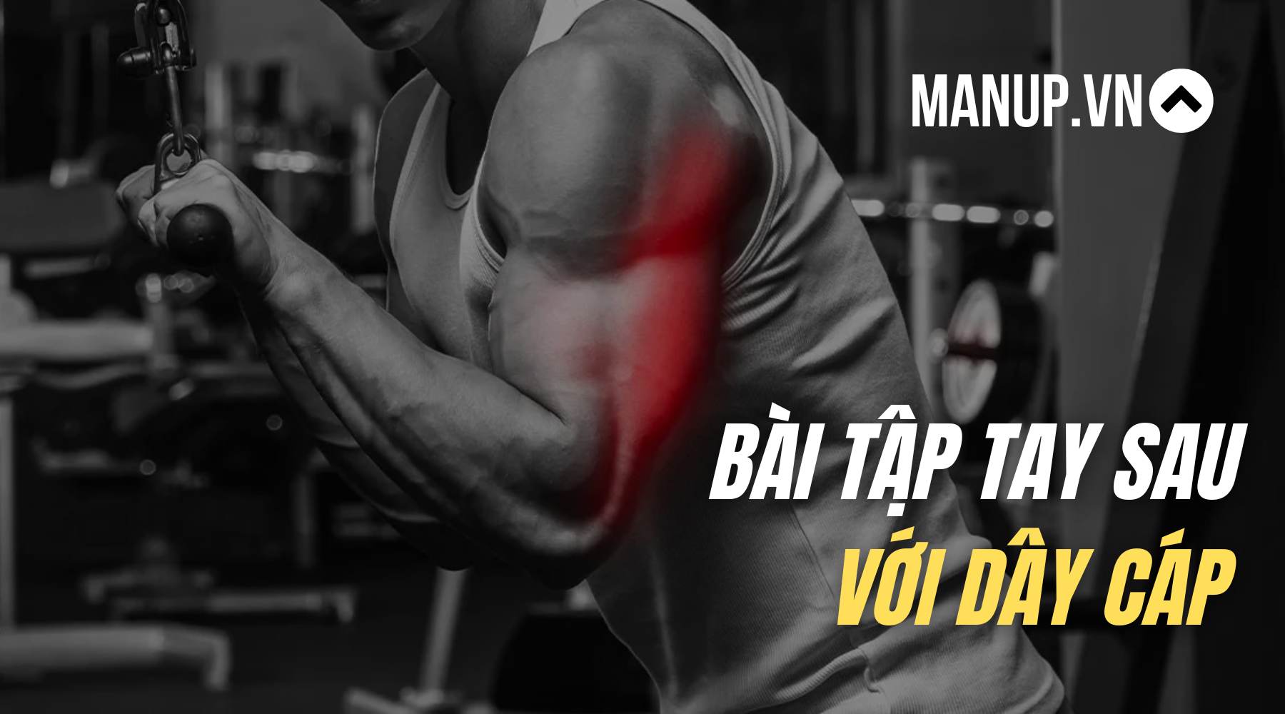 các bài tập tay sau với dây cáp