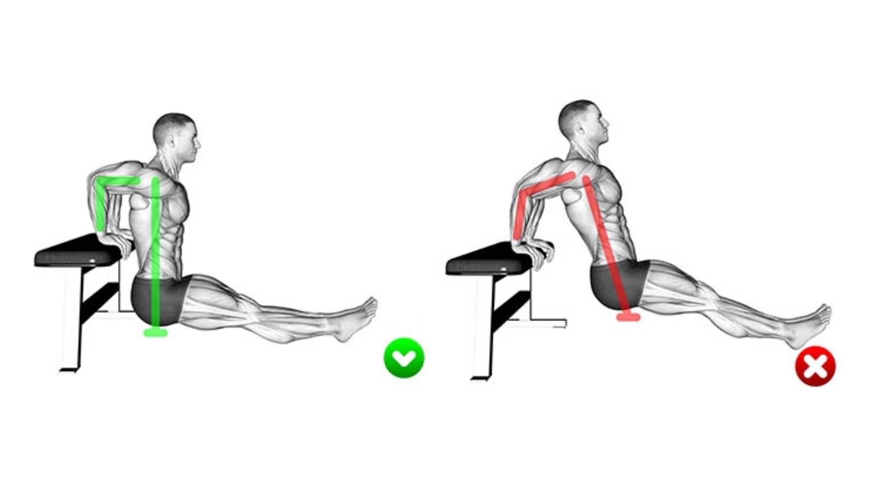 sai lầm phổ biến khi tập Bench Dips
