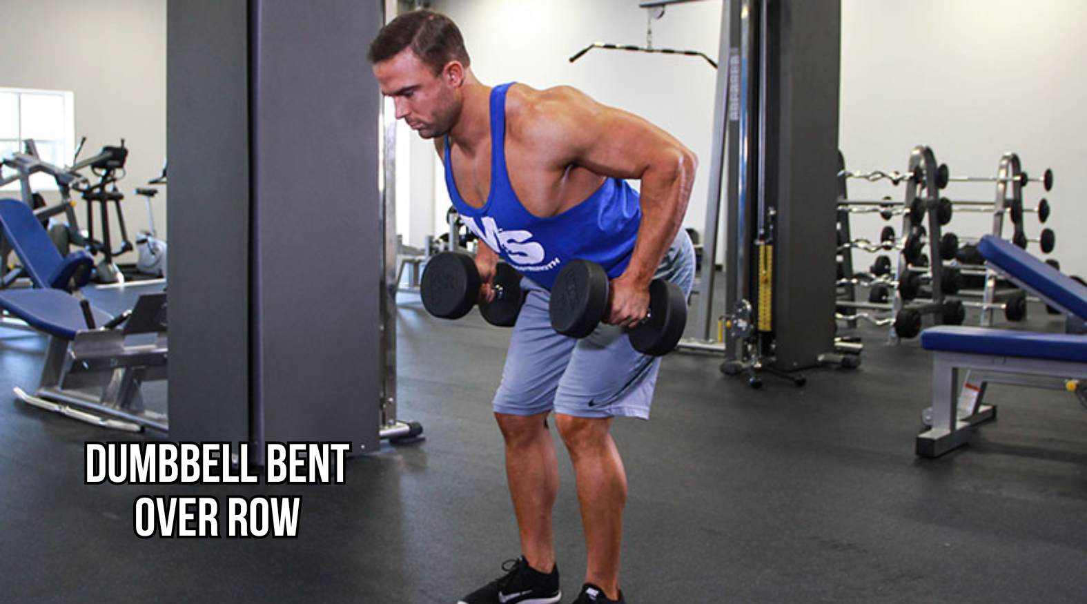 Dumbbell Bent Over Row