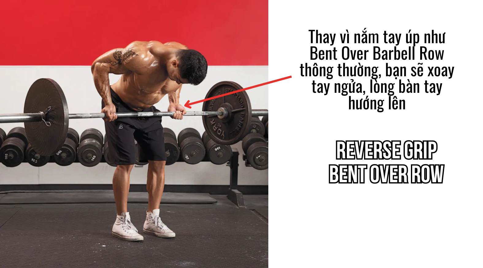 Reverse Grip Bent Over Row