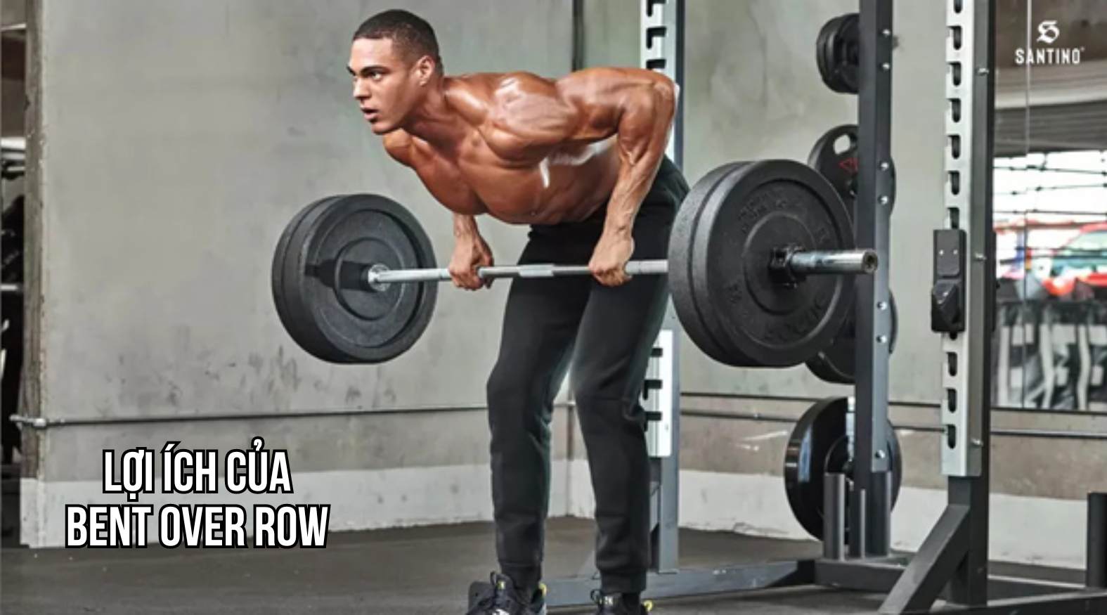 Lợi ích của Bent Over Row