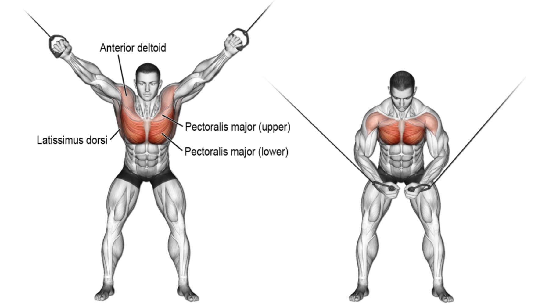 Hướng dẫn thực hiện bài tập Cable Iron Cross đúng kỹ thuật