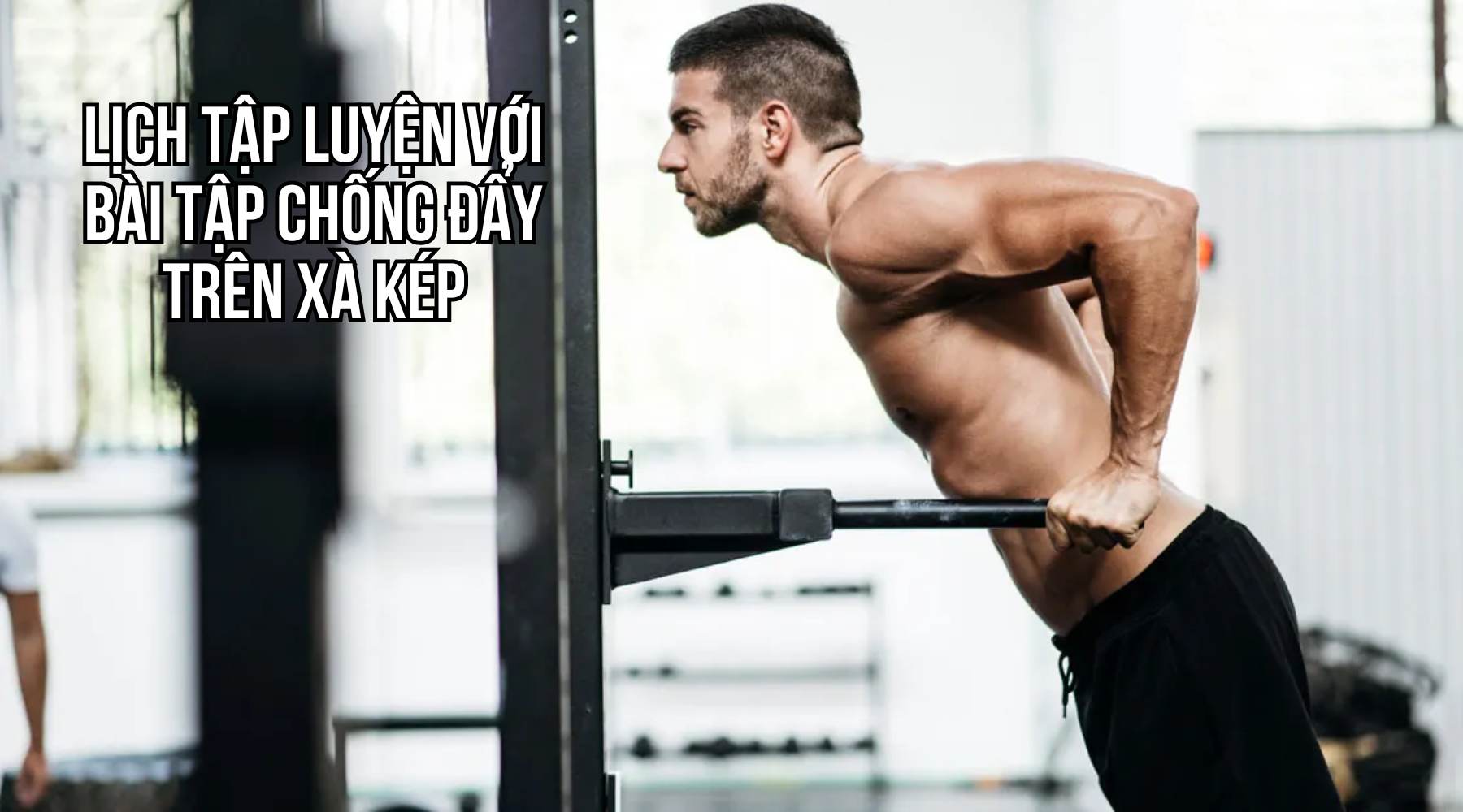 Lịch tập luyện với bài tập chống đẩy trên xà kép 