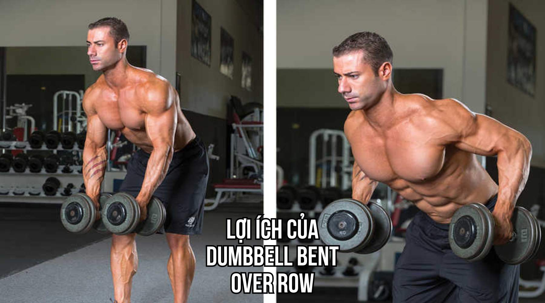 Lợi ích của Dumbbell Bent Over Row