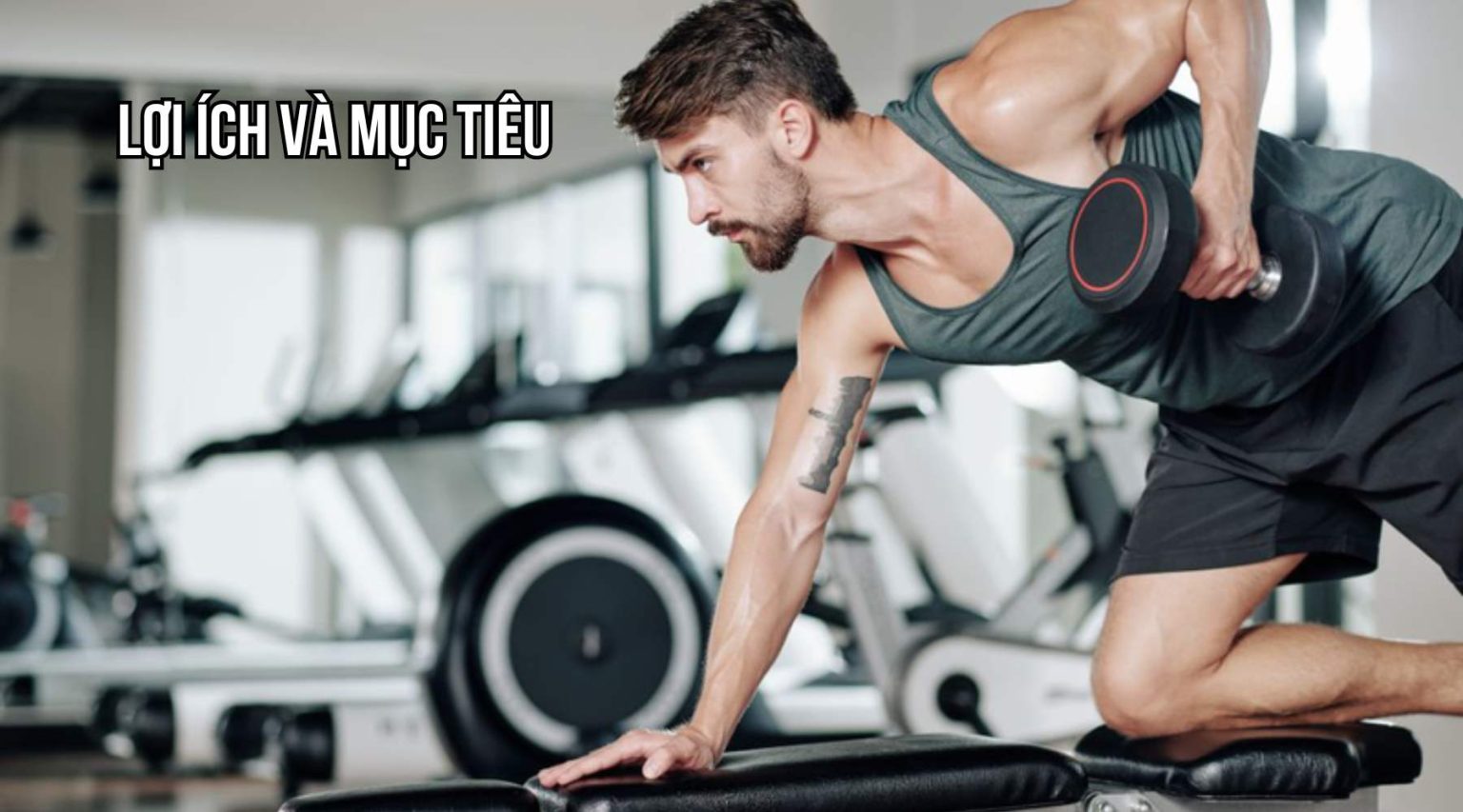 Bài Tập Lưng One Arm Dumbbell Row ( Kéo Tạ 1 Tay ) Xây Dựng Cơ Lưng Săn ...