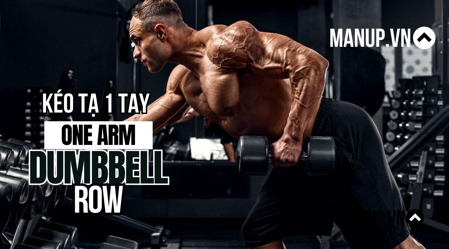 One Arm Dumbbell Row