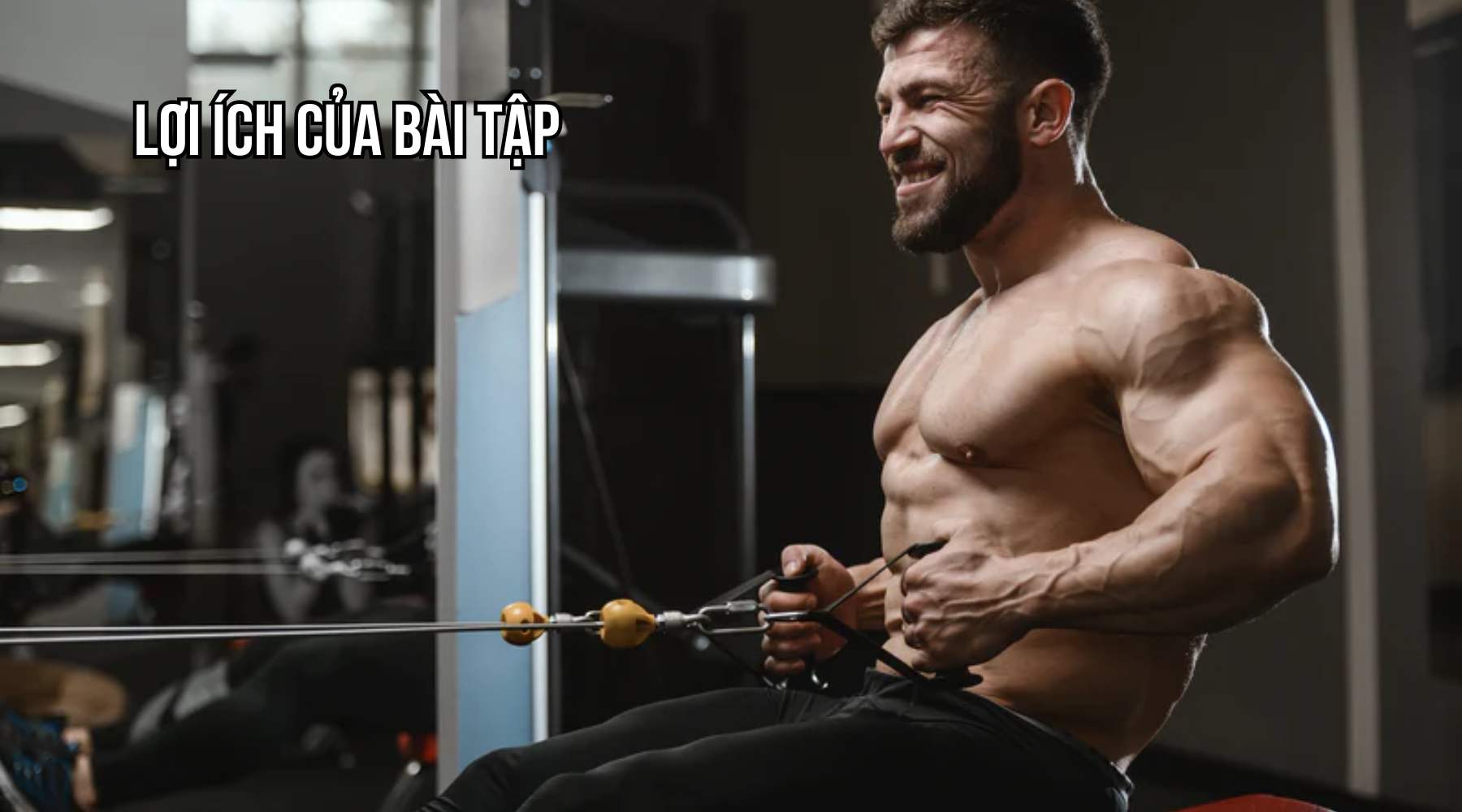 Lợi ích của bài tập Seated Cable Row