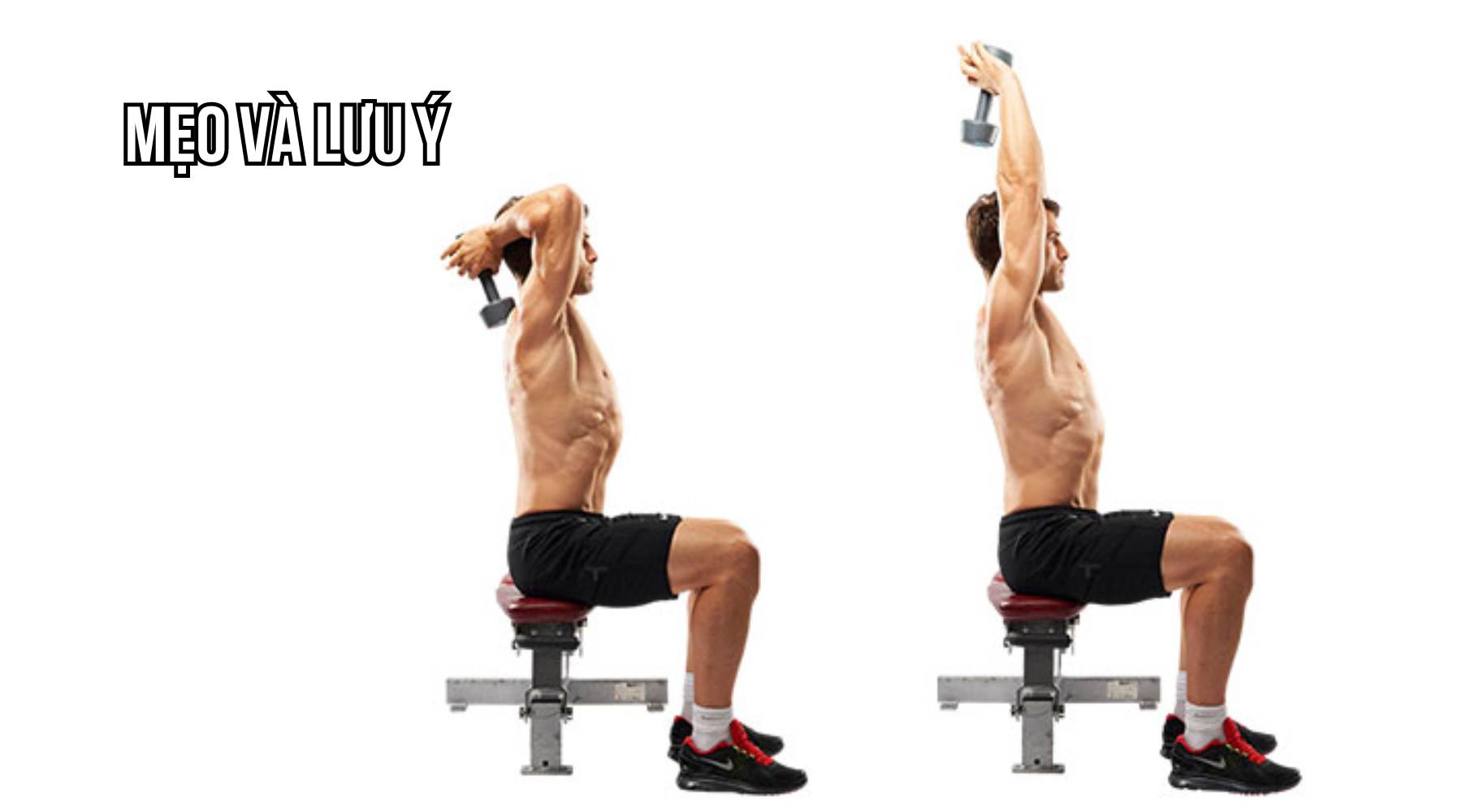 Seated Dumbbell Tricep Extension