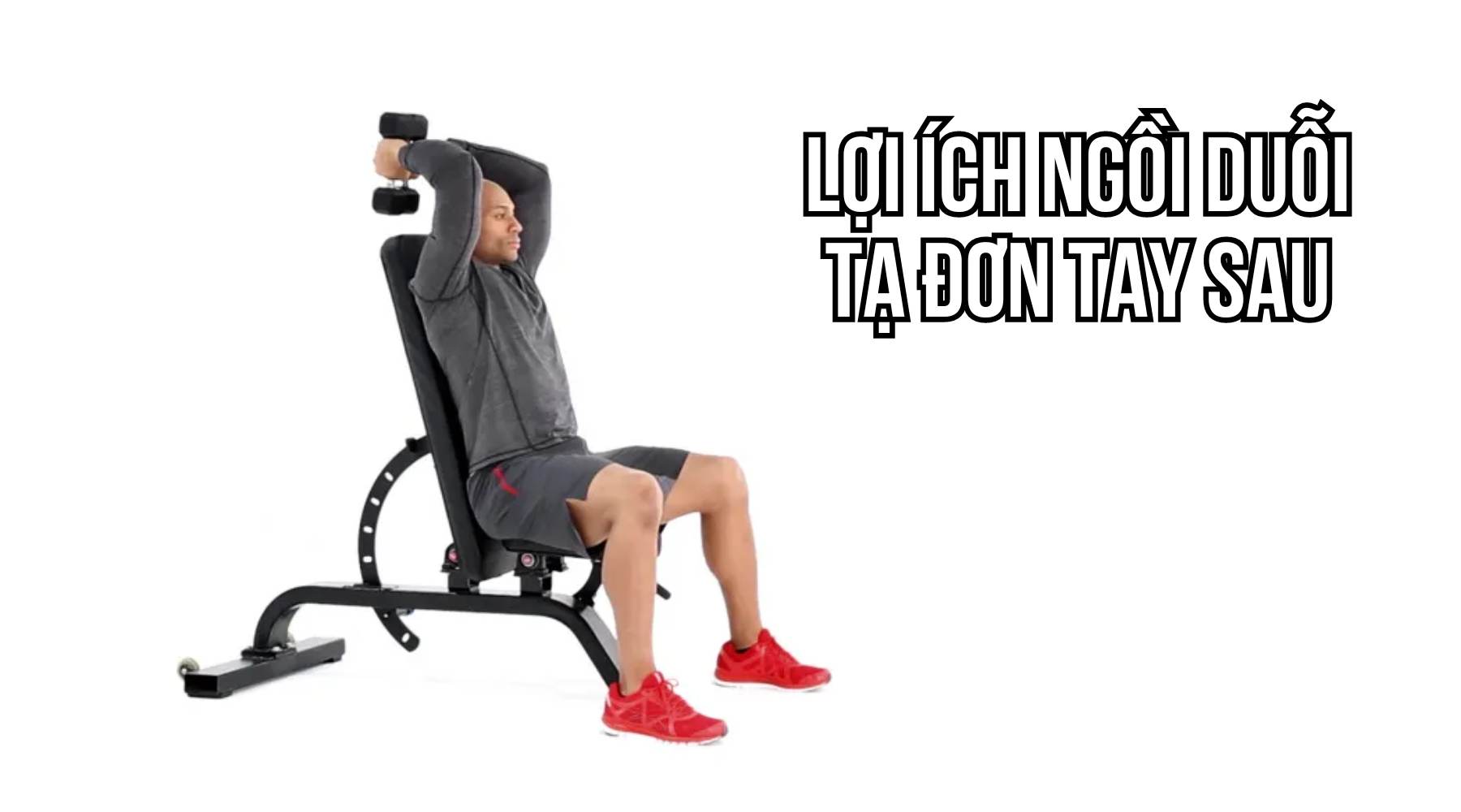 Lợi ích của Seated Dumbbell Tricep Extension đối với cơ tam đầu