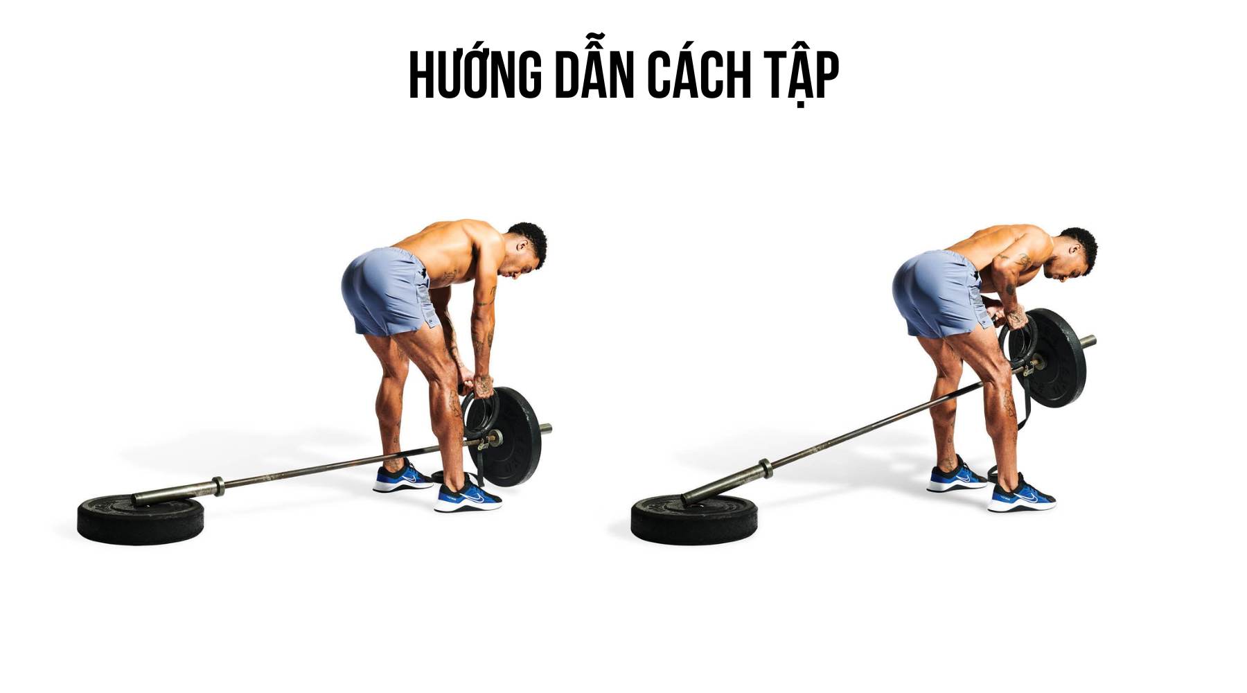 cách tập T-Bar Row