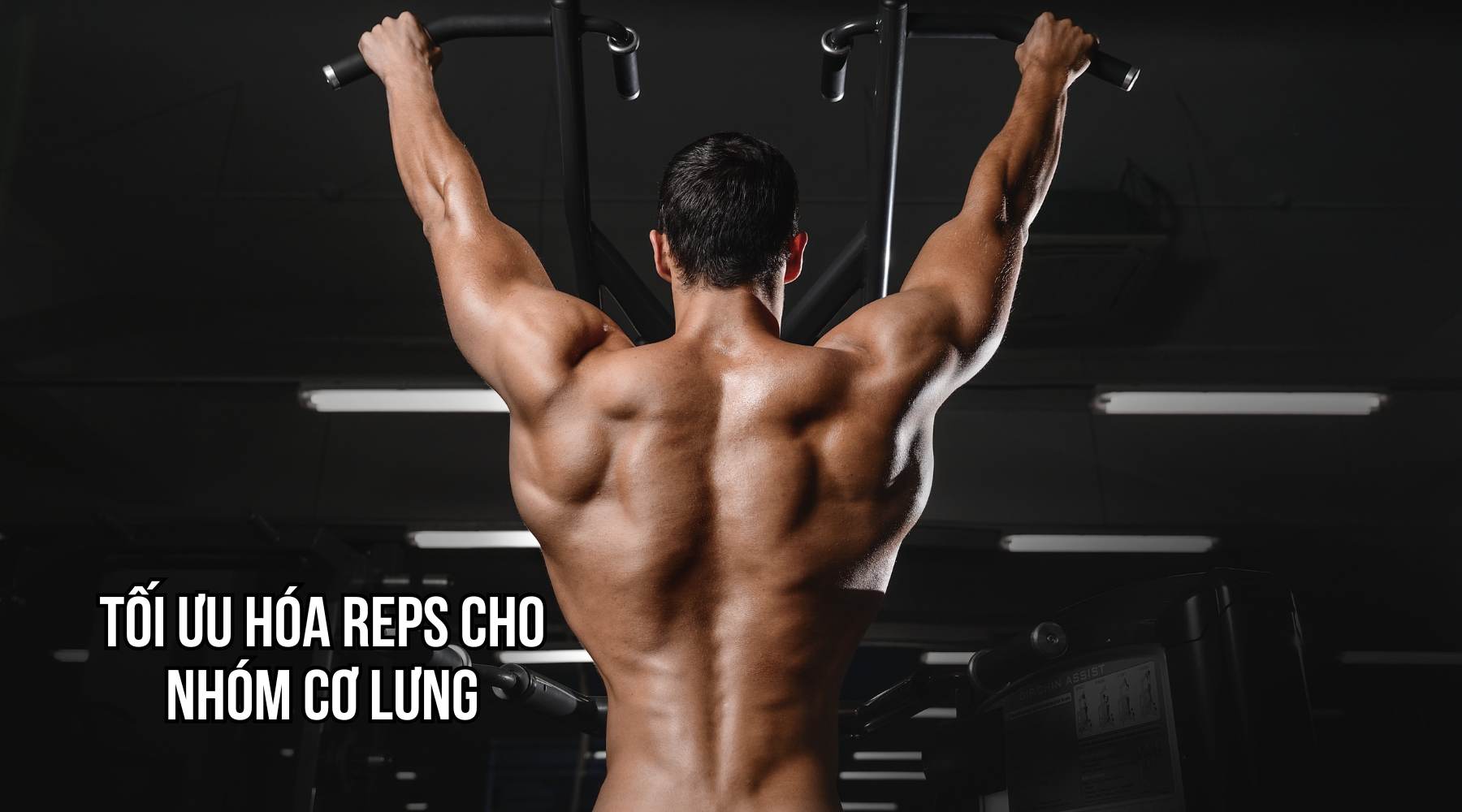 Tối ưu hóa reps cho nhóm cơ lưng