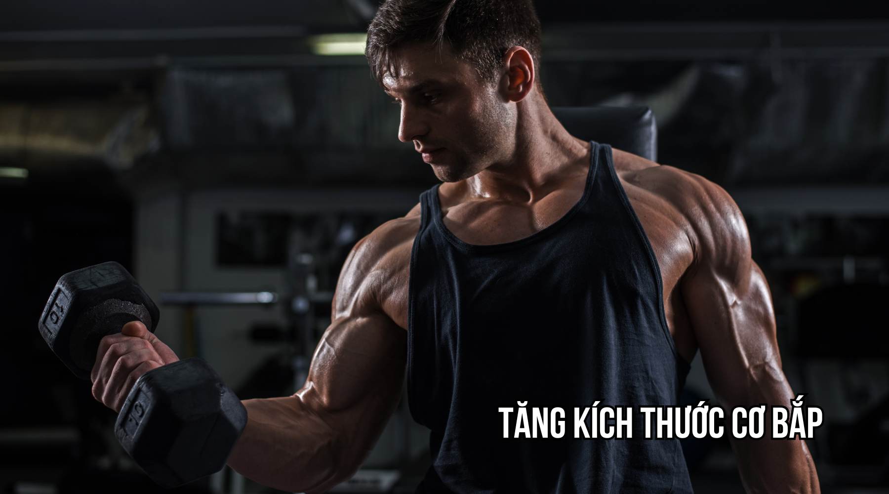 tập bao nhiêu reps để tăng cơ