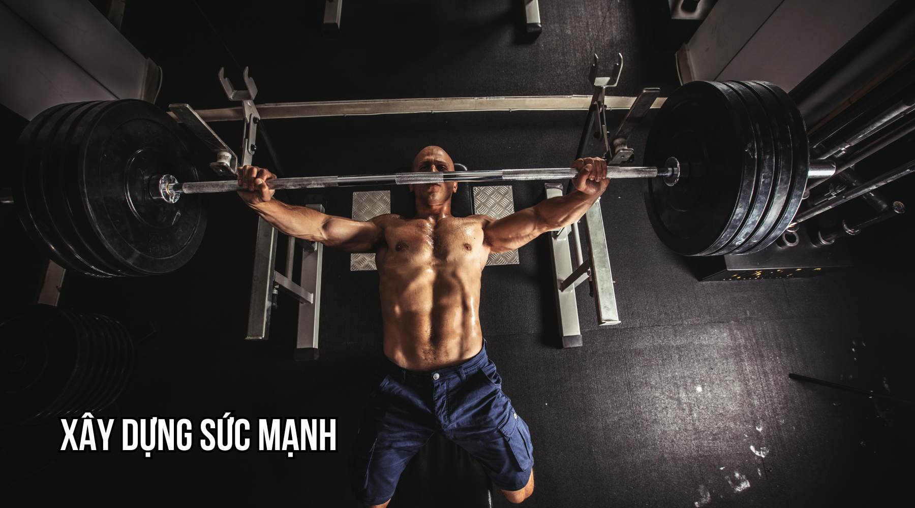 tập bao nhiêu reps để tăng cơ