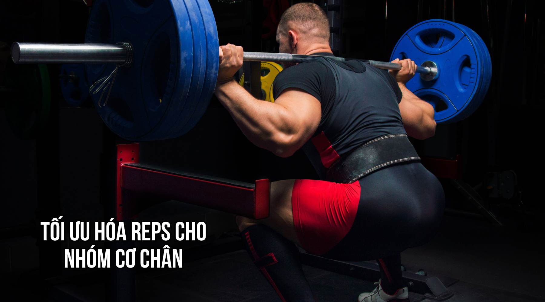 Tối ưu hóa reps cho nhóm cơ chân