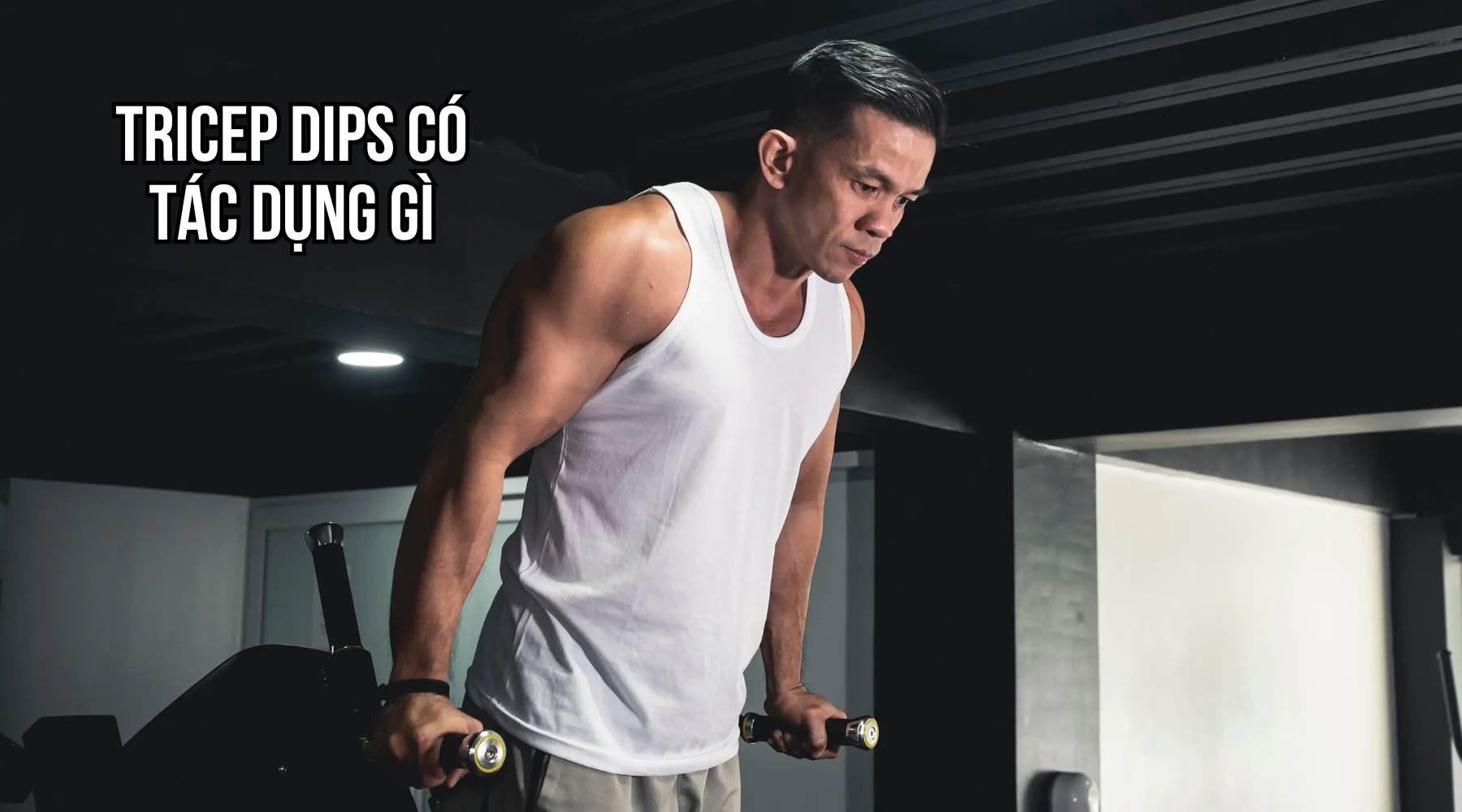 Tricep dips có tác dụng gì