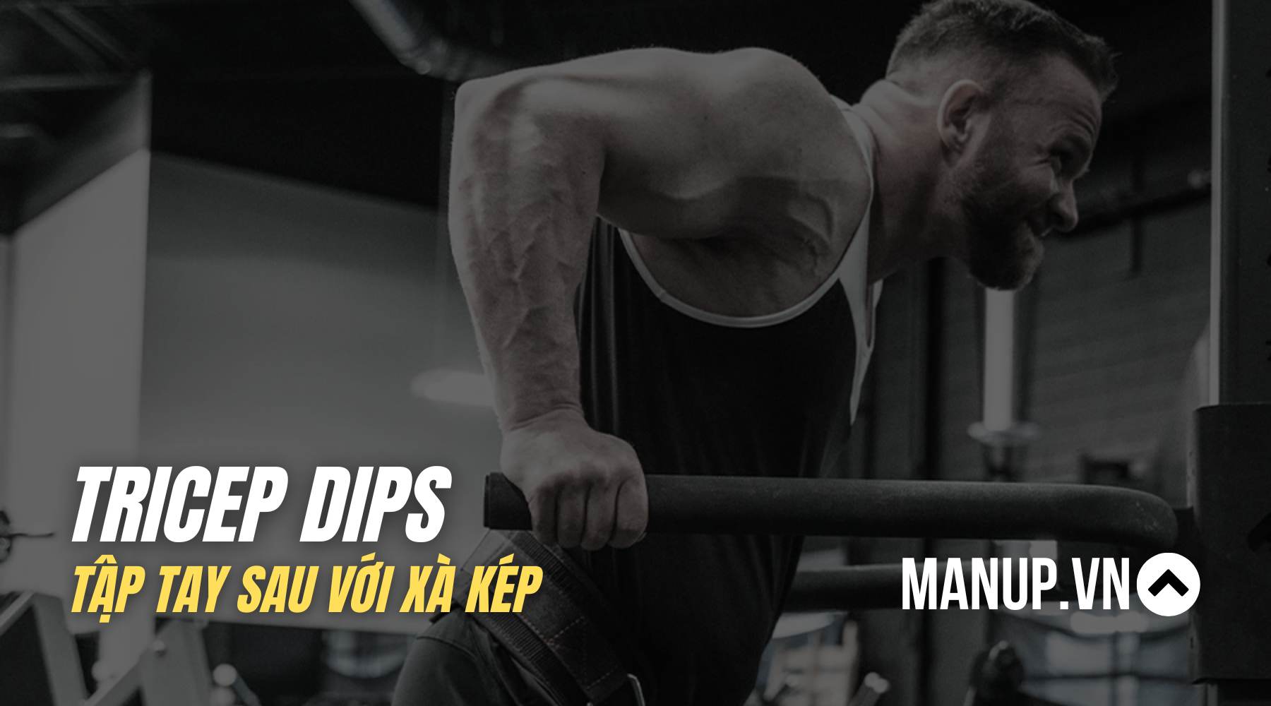 tricep dips