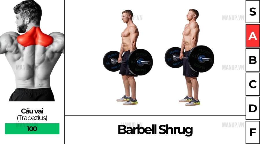 Barbell Shrug