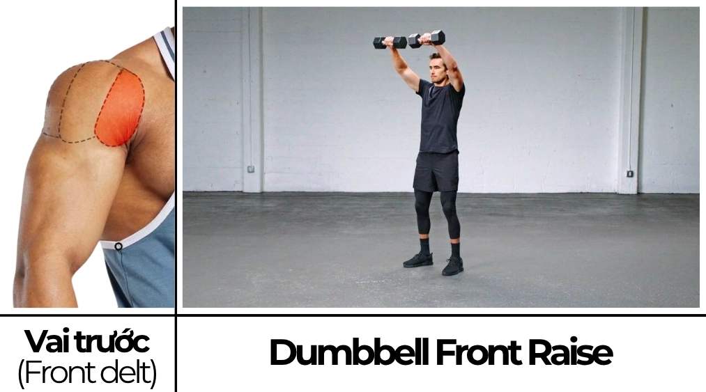 Dumbbell Front Raise