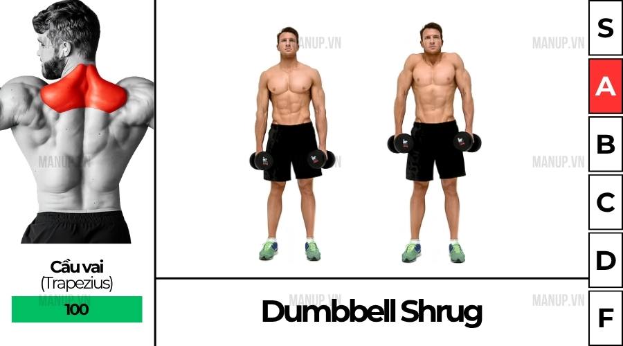 Dumbbell Shrug