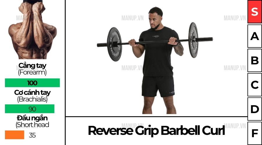Reverse Grip Barbell Curl