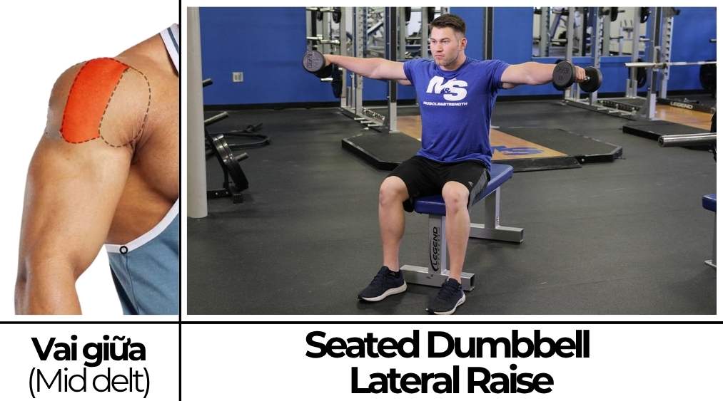 Seated Dumbbell Lateral Raise