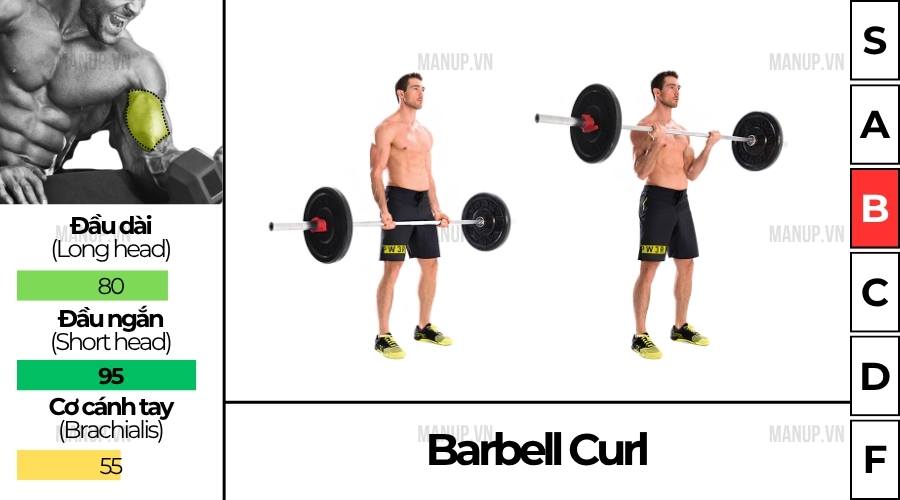 Incline Dumbbell Curl