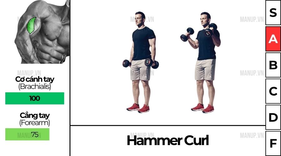 Incline Dumbbell Curl