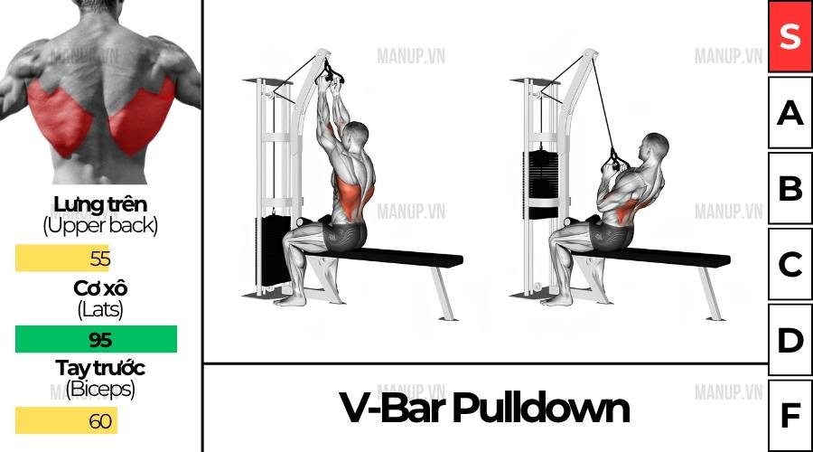 bài tập gym V-Bar Pull Down