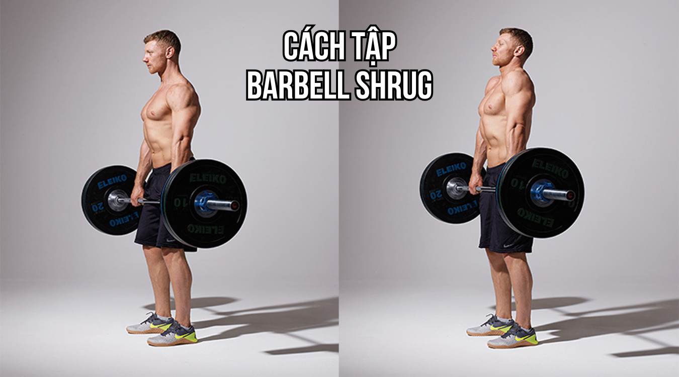 Hướng dẫn cách tập Barbell Shrug đúng kỹ thuật