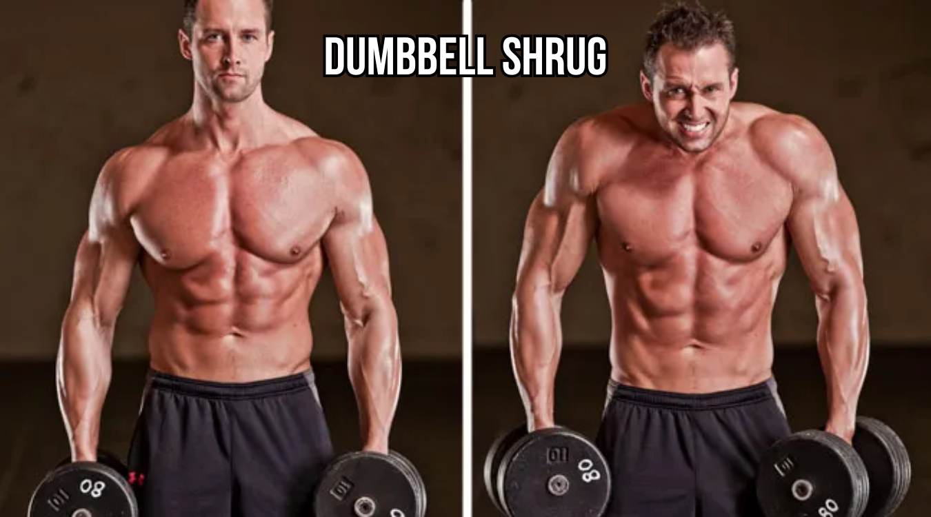 Dumbbell Shrug