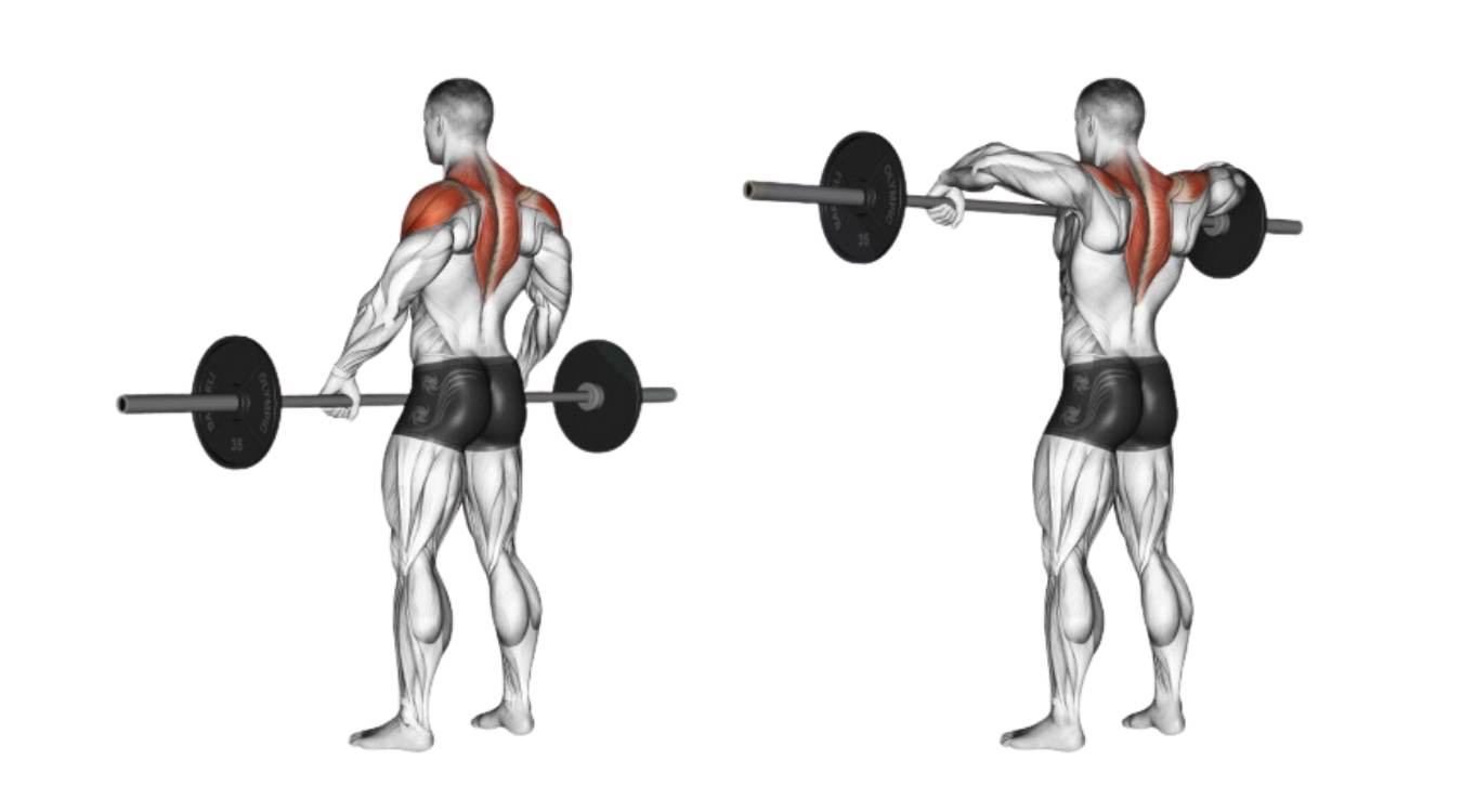 Tác dụng khi tập Barbell Upright Row