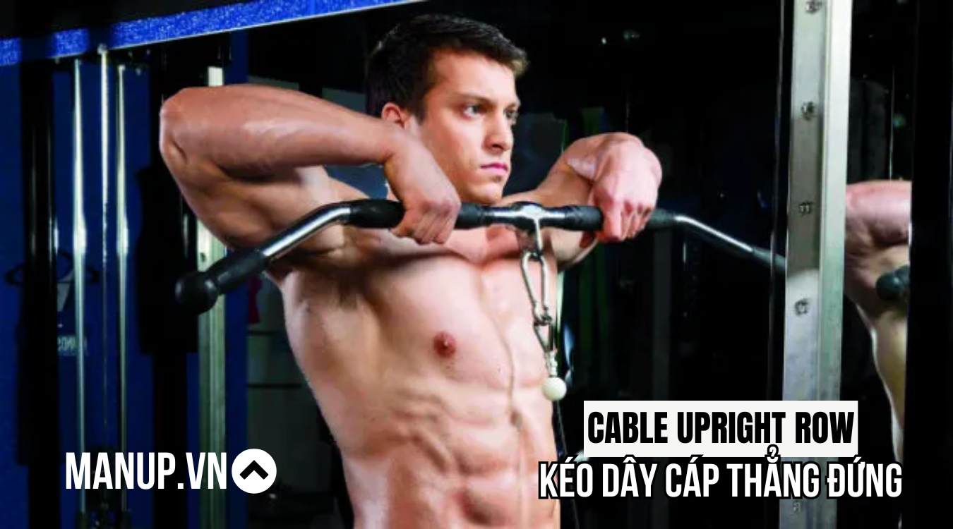 Cable Upright Row là gì