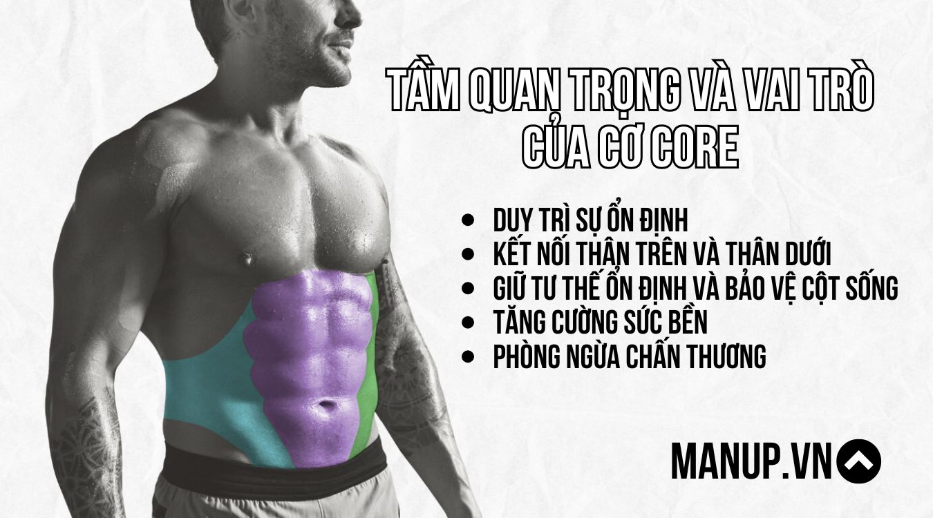 Tầm quan trọng và vai trò của cơ core