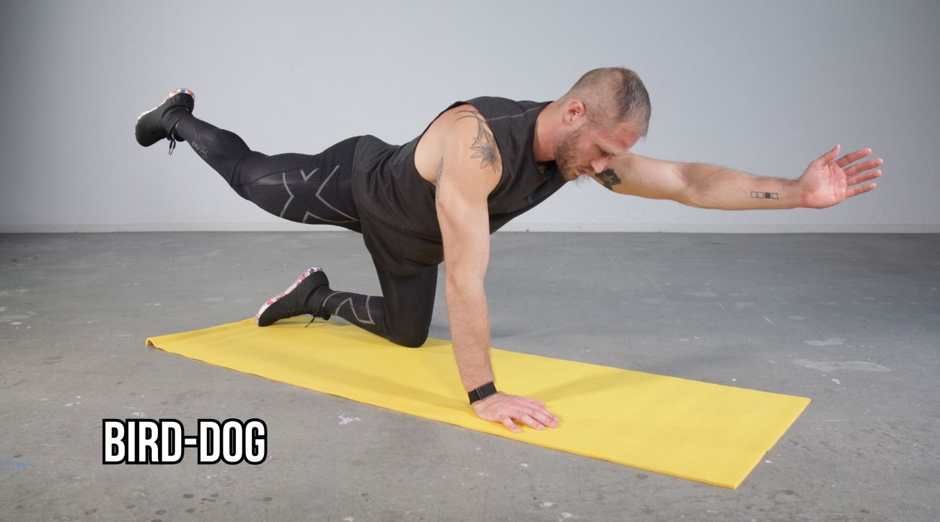 Động tác Chim-Chó (Bird-Dog)
