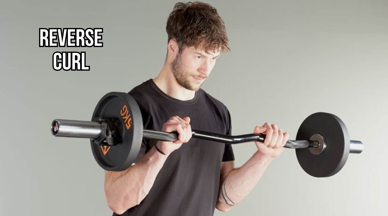 Reverse Curl
