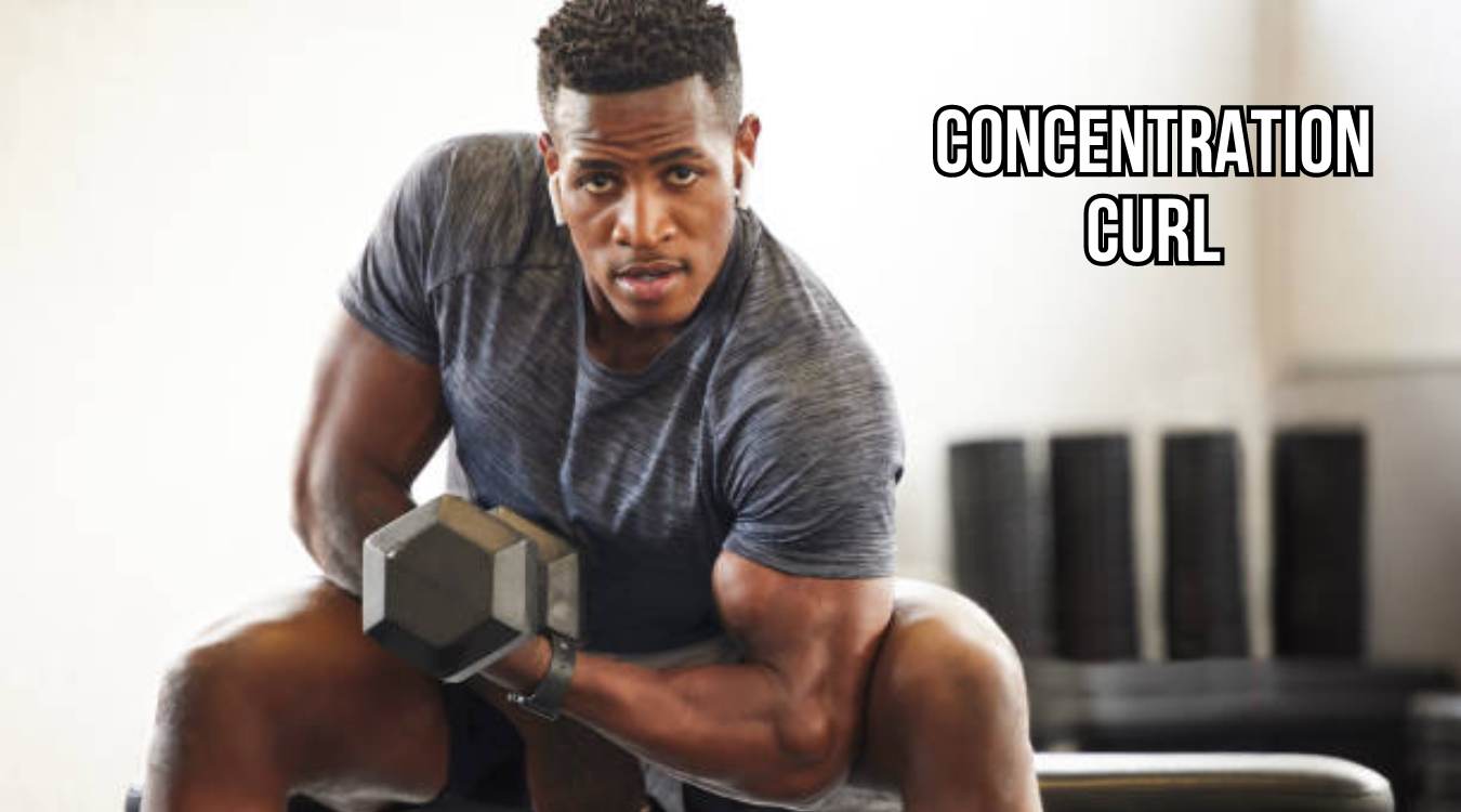 Concentration Curl