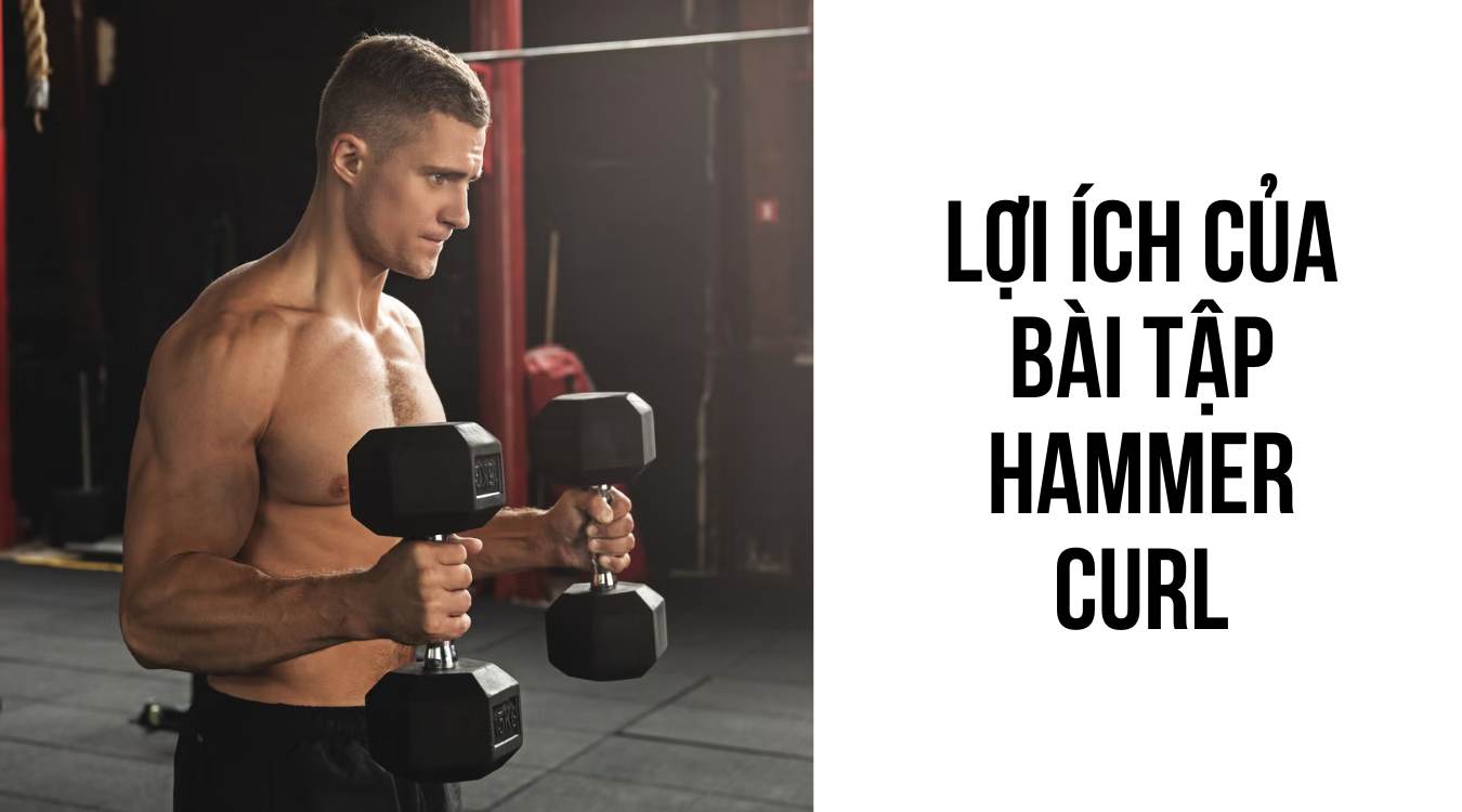 LỢI ÍCH CỦA BÀI TẬP HAMMER CURL