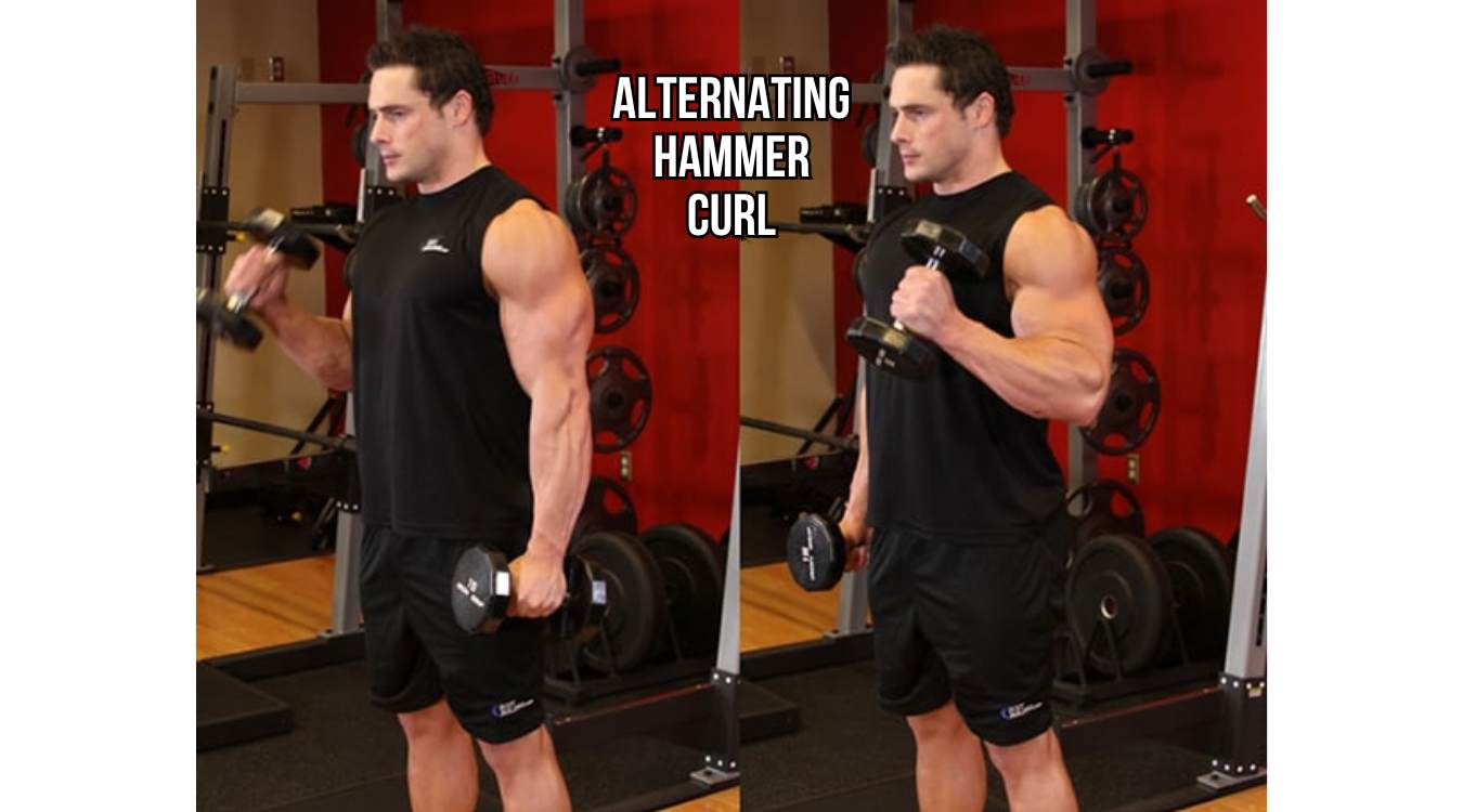 ALTERNATING HAMMER CURL