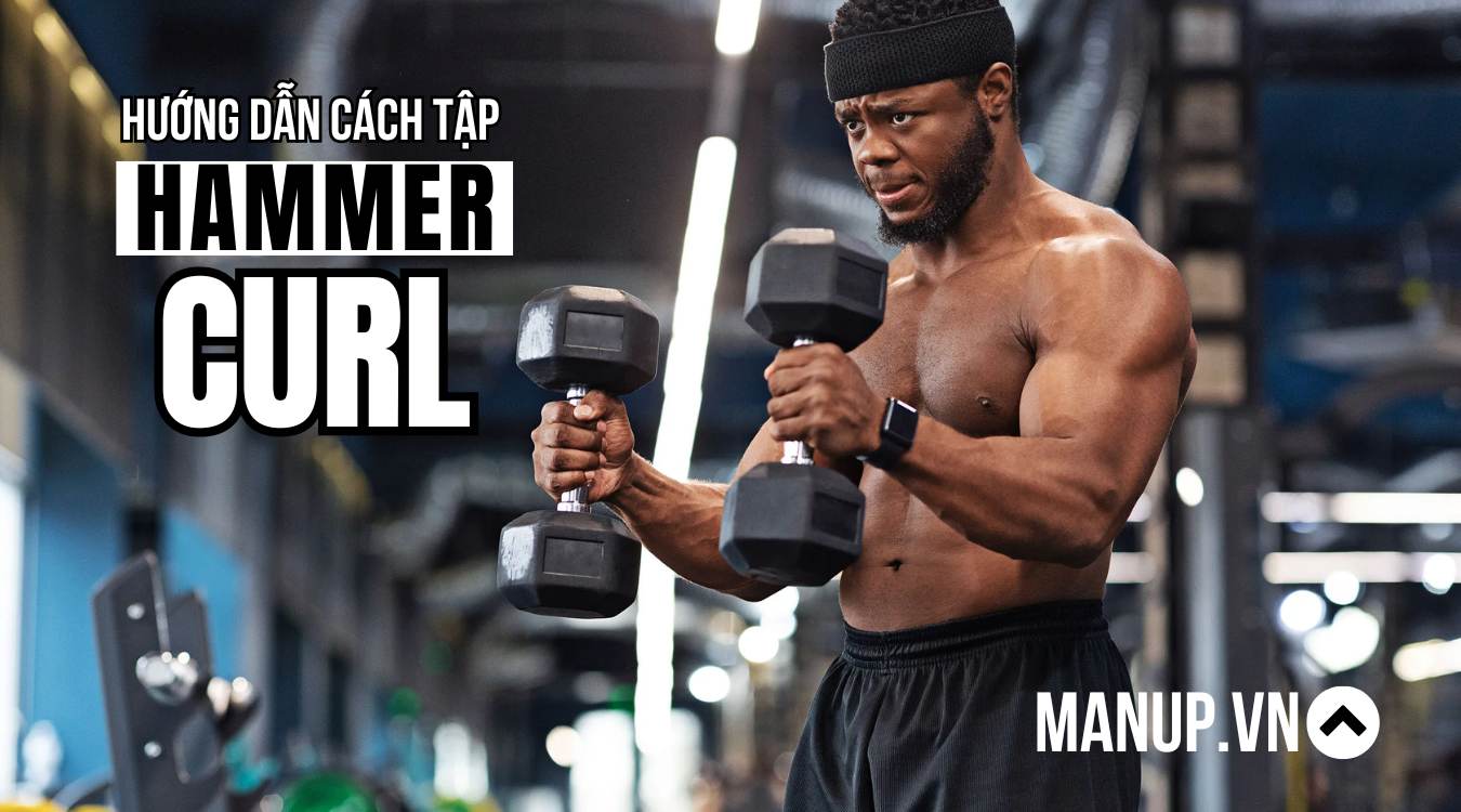 Hammer Curl
